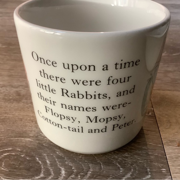 Vintage Wedgwood Beatrix Potter Designs Peter Rabbit Teacup and Bowl Child Set - Picture 8 of 15